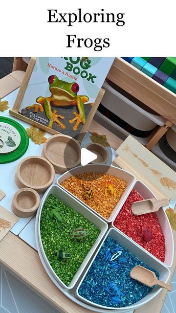 Anthea | Early Learning Play on Instagram: "•EXPLORING FROGS•

🐸 🐸 🐸 🐸 🐸 🐸 

Last week we visited Melbourne Zoo and extending on from this, Mr4 asked for a ‘frog set up’. 

We used our coloured oats to create a frog sensory experience for Mr4 and Mr1. 

🐸 Tray from @gusandmabel.co 
🐸 Frog figurines from @minizoo.shop 

Have you used oats for a sensory base before? 
•
•
•
#sensory
#sensoryplay
#flisatactivites 
#ikeahacks
#sensoryexperience 
#frogs
#frog
#frogplay
#sensoryplay
#playroom 
#learningathome 
#learntoplay 
#Invitationtoplay 
#finemotorskills 
#DYIplayideas 
#playroomshelfie 
#playroomideas
#playroominspo 
#montessori 
#loosepartsplay 
#puzzles
#cognitivedevelopment 
#spotlightstorage 
#diycrafts 
#diystorage 
#storageideas 
#organization 
#foryou
#fyp" Melbourne Zoo, Visit Melbourne, Frog Figurines, Invitation To Play, Sensory Experience, Cognitive Development, A Frog, Play To Learn, Early Learning