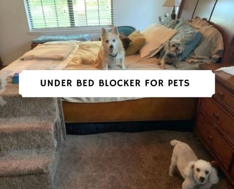 Block Pets From Under Bed, Hidden Dog Bed Under Bed, Dog Bed Under Bed, Diy Under Bed Blocker, Bed Frames With Dog Bed Underneath, Under Bed Blocker, Kids Bed With Dog Bed Underneath, Dog Beds Out Of Toddler Beds, Under Couch Blocker