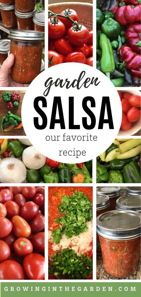 Garden Salsa Peppers, Abundance Of Tomatoes, Garden Salsa Recipe, Garden Vegetable Recipes, Make Salsa, Garden Salsa, Tomato Salsa Recipe, Fresh Salsa Recipe, Fresh Tomato Recipes