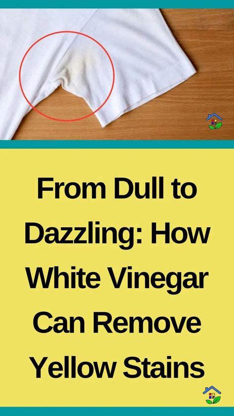 Do you know why the yellow shirt refused to hang out with the white clothes? Because it didn’t want to feel ‘pale’ in comparison! Fear not! Eliminate yellow stains from whites using only white vinegar. Time is enough to mark everything, whatever its value, even clothes. Over time, clothes start to become yellowish (especially light-colored […] Cleaning White Clothes, Remove Grease Stain, Remove Yellow Stains, Underarm Stains, Pit Stains, Stain On Clothes, Yellow Clothes, Mens Undershirts, Time Clothes