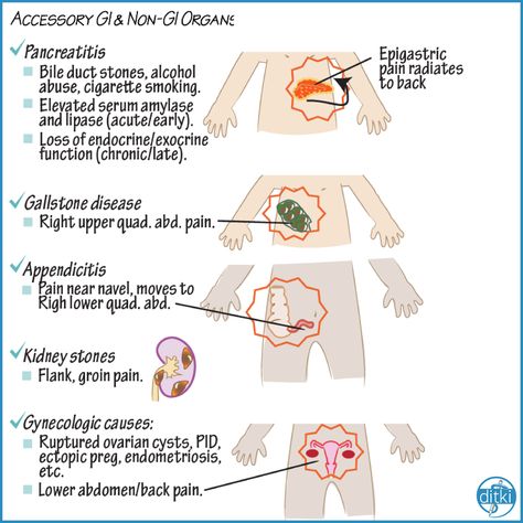 Gi Diseases Nursing, Gastrointestinal System Notes, Gi Nursing, Nursing Gastrointestinal Disorders, Advanced Pathophysiology Fnp, Gastrointestinal Nursing, Clinical Pathology, Gi System, Heart Burn