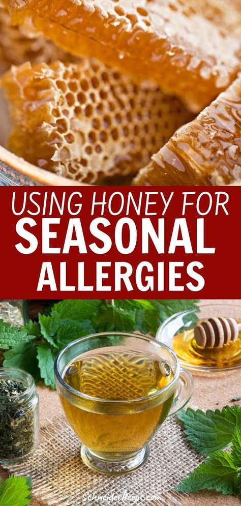 Can honey help with seasonal allergies? It can! But you have to know what kind of honey, where to get it, and how to use honey effectively to get relief from seasonal allergies. In this article we break down the scientific evidence and develop a seasonal allergy protocol that really works. #Healingherbs #SimpleLiving #Homesteading #Beekeeping #RawHoney #NaturalHealing Honey For Allergies Local, Honey For Allergies, Low Inflammation Diet, Home Remedies For Allergies, Homesteading Tips, Allergy Shots, Honey Candy, Homesteading Ideas, Allergy Remedies