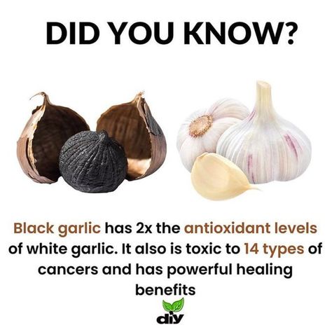 Benefits Of Garlic Supplements, Garlic Benefits Health, Benefits Of Garlic, Garlic Supplements, Garlic Benefits, Food Health Benefits, Raw Garlic, Black Garlic, Home Health Remedies