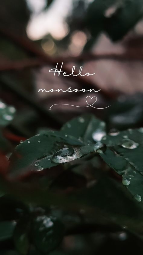 #rain #rainy season #leaves #green #raindrops Rainy Season Wallpaper, Rain Drops Aesthetic, Rainy Season Aesthetic, Rain Wallpaper Iphone, Beautiful Moon Pictures, Rain Wallpaper, Rainy Wallpaper, Tea Lover Quotes, Hello June