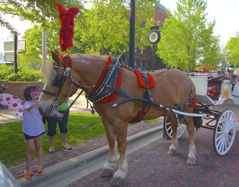 The Simple Pleasures of Geneva, Illinois | Travelers Roundtable Geneva Illinois, Illinois Travel, Making The Cut, Spa Bathroom, Rock Springs, Small Town Life, Vintage Architecture, Comfortable Bed, Tri Cities