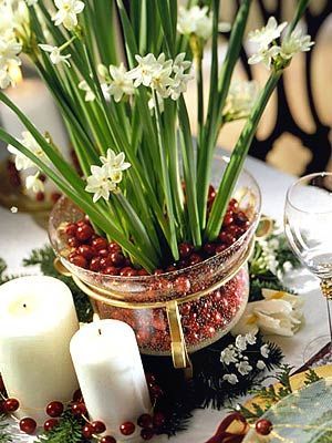 Diy Christmas Flower Arrangements, Holiday Flower Arrangements, Easiest Flowers To Grow, Christmas Flower Arrangements, Christmas Floral Arrangements, Christmas Tabletop, Holiday Flower, Have Inspiration, Pretty Christmas