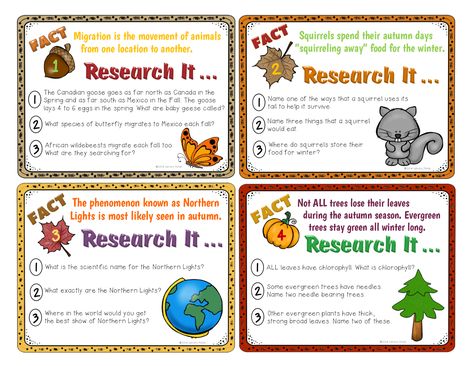 Library Patch Library Lessons Elementary, Library Centers, Library Lesson Plans, Teaching Money, Library Center, Library Media Specialist, Library Research, Future Library, Library Media Center