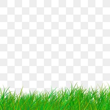 Green Grass Png, Grass Png, Cartoon Grass, Grass Clipart, Green Grass Background, Indian Flag Images, Footer Design, Grass Background, Blur Photo Background