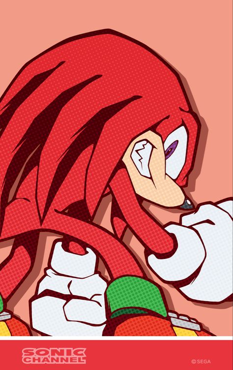 This Art Is From The Sonic Channel Website Sonic Channel, Knuckles The Echidna, Shadow Sonic, Sonic & Knuckles, Rouge The Bat, Sonic Heroes, Sonic Funny, Sonic Fan Characters, Sonic 3