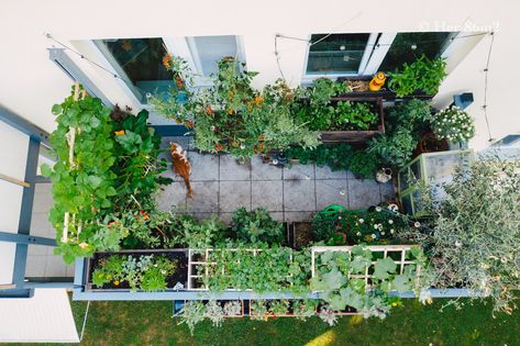 Balcony Vegetable Garden, Ideas Terraza, Thuy Dao, Her 86m2, Balkon Design, House Clearance, Rooftop Garden, Apartment Garden, Small Balcony