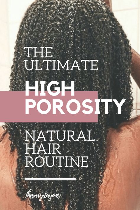 theeverydayones-natural hair routine - high porosity hair routine - natural hair tips - natural hair styles High Porosity Hair Regimen, High Porosity Natural Hair, Cabello Afro Natural, High Porosity Hair, Natural Hair Routine, Low Porosity, Best Natural Hair Products, Natural Hair Regimen, Low Porosity Hair Products