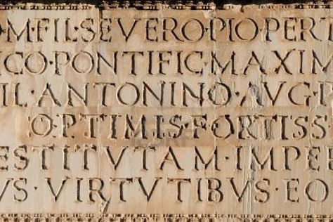 Latin inscription Roman Letters, Stone Tattoo, Latin Language, Roman Fonts, Education Information, World Languages, The Secret History, Online School, Learning Languages