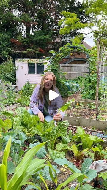 Emma - Allotment gardening for beginners on Instagram: "About a year and a half ago I started a no dig approach to my allotment garden. 

So what difference has it made? Well honestly, the main difference has been on a practical level. Being able to just top up beds with compost or manure without having to dig it all over again is a big time saver and means I can enjoy my garden more! 

I’ve noticed a reduction of weeds, though this did take a few repeat top ups of cardboard and compost. I’ve also noticed my crops come out of the ground fairly clean, which is an unexpected benefit to no dig, but apparently a real thing! 

There are so many benefits to taking a no dig approach on the environment. You don’t disturb the micro bacteria in the soil, or the bugs. And carbon remains locked in the No Dig Allotment Uk, No Dig Garden, Allotment Ideas, Allotment Garden, Dig Gardens, Allotment Gardening, Time Saver, The Soil, Gardening For Beginners