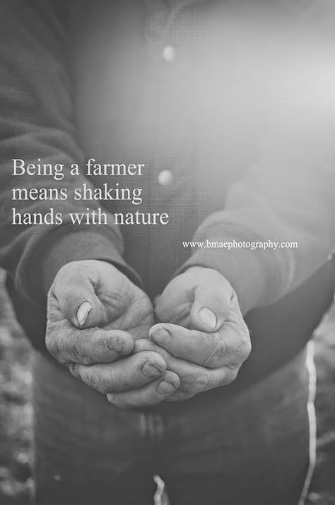 Farming Quotes, Farm Life Quotes, Thank A Farmer, Farmer Quotes, Farmers Life, Farm Facts, Farm Quotes, Community Quotes, Life Captions