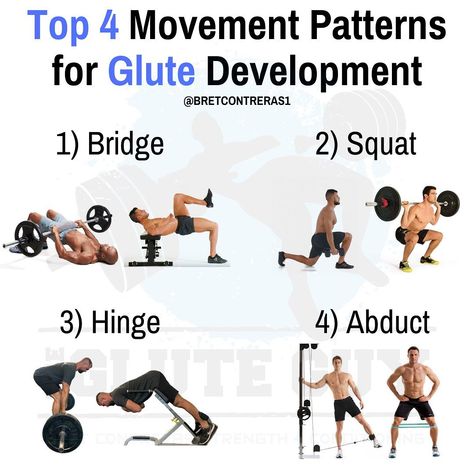 Bret "Glute Guy" Contreras PhD on Instagram: “If you want to maximize your glute development, then you need to be performing these 4 movement patterns.  1) Bridge - these are your hip…” Bret Contreras Glutes, Upper Glute Exercises, Lower Glutes, Glute Guy, Upper Glutes, Reverse Hyper, Bret Contreras, Back Extension, Step Ups