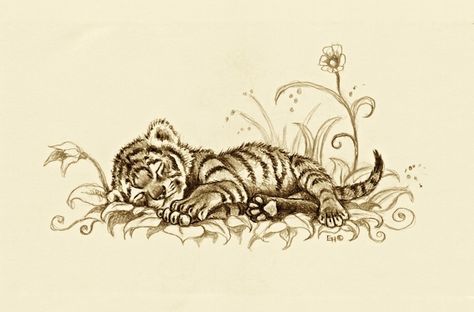 Baby sleep Tiger Laying Down Tattoo, Sleeping Tiger Drawing, Tiger Laying Down Drawing, Sleeping Tiger Tattoo, Tiger Cub Drawing, Baby Tiger Tattoo, Tiger Cub Tattoo, Cub Tattoo, Jaguar Tattoo