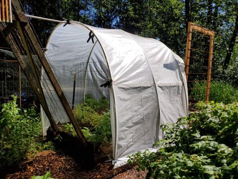 DIY Polytunnel for under Forty Dollars | A Farm Girl in the Making Small Polytunnel, Green House Diy, Diy Living Room, Fairytale House, Beach House Living Room, Tiered Garden, Potager Garden, Market Garden