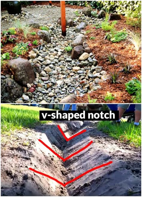 Diy French Drain, French Drain Installation, Landscape Drainage, Backyard Drainage, Yard Drainage, French Drain, Rain Garden, Backyard Diy Projects, Home Landscaping