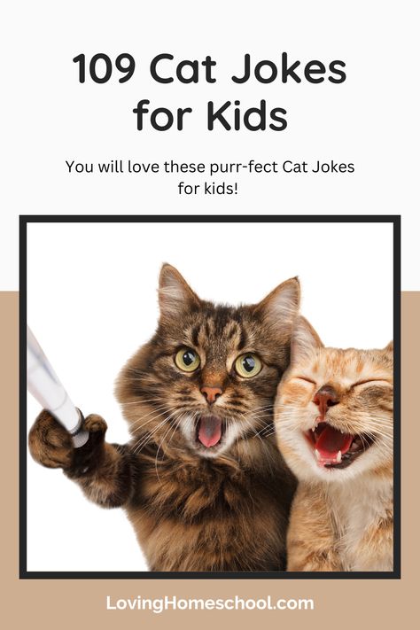 You will love these purr-fect 109 Cat Jokes for kids! Whether you are doing a study on cats or just love a good joke, you will have fun with these! Cat Jokes For Kids, Cat Massage, Lunchbox Jokes, Jokes For Teens, National Cat Day, Cat Jokes, Cat Call, Funny Jokes For Kids, Cat Talk