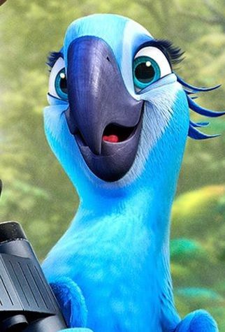 Jewel From Rio, Jewel Rio, Rio Movie, Rio Photos, Blue Sky Studios, Rio 2, Dreamworks Movies, 4 By 4, Toyota 4