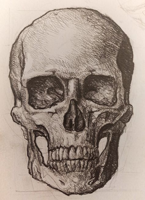 Skull With Open Mouth, Skeleton Head Drawing, Skeleton Portrait, Half Face Drawing, Half Skull, Skull Sketch, Head Skull, Skeleton Head, Face Sketch