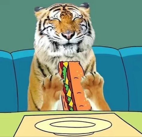 Giant Realistic Flying Tiger, Pizza Steve, Uncle Grandpa, Flying Tiger, Silly Images, Silly Animals, Silly Cats, What’s Going On, Reaction Pictures