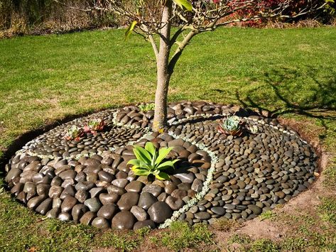 Diy Rock Garden, Trees For Front Yard, Rock Garden Design, Tree Base, Creative Idea, Rock Design, Rock Garden, Landscaping Ideas, A Tree