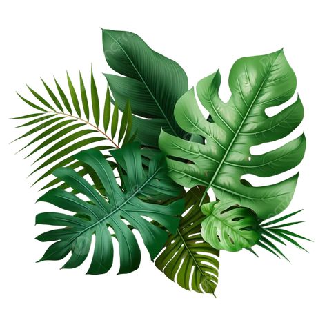 Jungle Leaves Clipart, Jungle Frame, Safari Leaves, Tropical Png, Rainforest Leaves, Rainforest Biome, Tropical Inspiration, Leaf Png, Leaves Frame