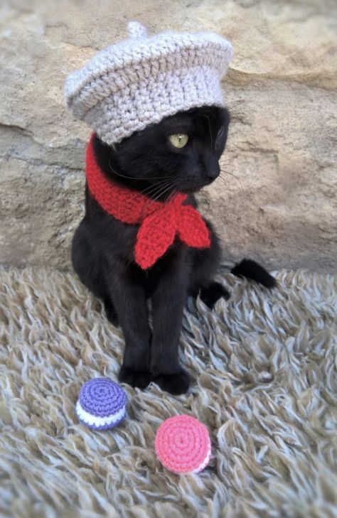 Cat Outfits, Cat Outfit, Cat Magic, French Beret Hat, Crochet Cat Hat, Chat Crochet, French Beret, A Black Cat, Hat And Scarf