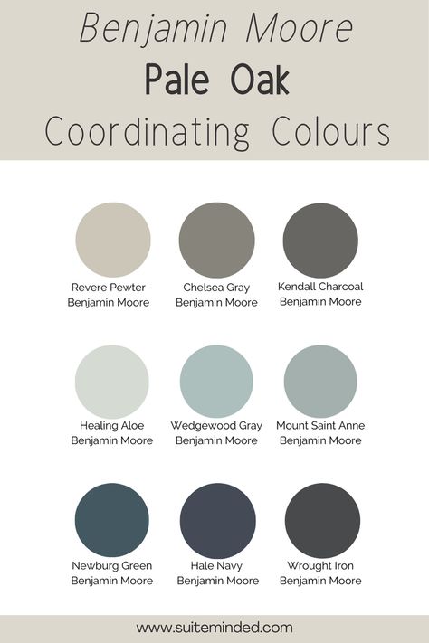 Paint Colour Review: Pale Oak By Benjamin Moore - A Favourite — Suite Minded Pale Oak Coordinating Colors, Revere Pewter Coordinating Colors, Pale Oak Benjamin Moore, Benjamin Moore Pale Oak, Paint Pallette, Coordinating Paint Colors, Laundry Room Paint Color, Paint Color Combos, Pale Oak