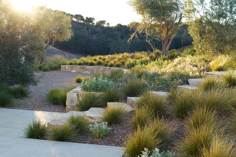 Landscaping Architecture, Garden Modern, Modern Landscape Design, Garden Architecture, Mediterranean Garden, Landscape Plans, Native Garden, Landscaping Tips, Landscaping Plants