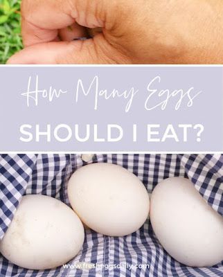 How Many Eggs Should I Eat a Week? - Fresh Eggs Daily® Egg Nutrition Facts, High Cholesterol Foods, Egg Nutrition, Cholesterol Test, When To Plant Vegetables, Chicken Keeping, Health World, Eating Eggs, Mother Earth News