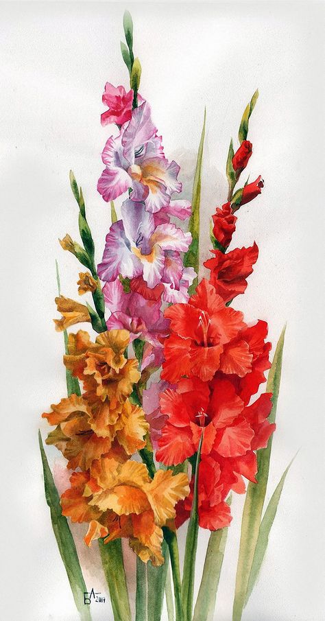 Gladiola Painting, Gladiolus Flower, Canvas Art Decor, Floral Watercolor Paintings, Gladioli, Turtle Painting, Watercolor Flower Art, Floral Oil, Botanical Painting