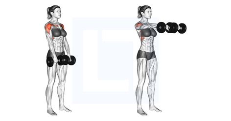 Lat Raises, Seated Cable Row, Shoulder Workouts, Barbell Row, Sports Science, Cable Row, Lat Pulldown, Strength And Conditioning, Front Raises