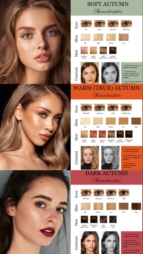 Skin Tone Seasons, Cool Neutral Skin Tone Makeup, Autumn Complexion Colors, Yellow Skin Undertone, Warm Skintone Palettes, Autumn Skin Tone Makeup, Natural Makeup Medium Skin Tone, Color Palette For Autumn Skin Tone, Personal Color Deep Autumn