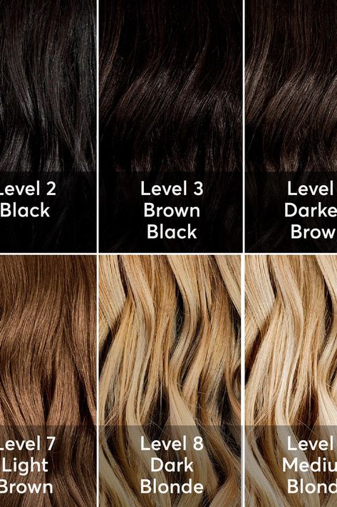 A Hair Color Chart to Get Glamorous Results at Home Brown Hair Chart, Ion Hair Color Chart, Schwarzkopf Hair Colour, Level 6 Hair Color, Tone Hair At Home, 7n Hair Color, Loreal Hair Color Chart, Light Brown Hair Dye, Madison Reed Hair Color