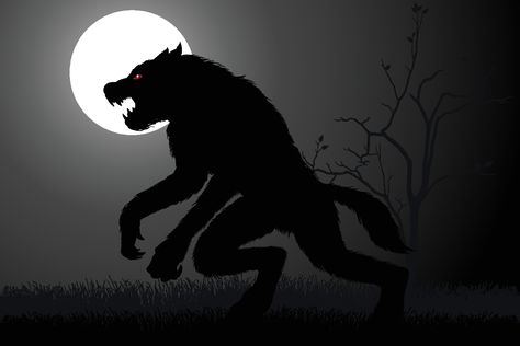 Michigan Dogman: The Werewolf-Like Legend of the Great Lakes State Michigan Dogman, Dogman Encounters, Manistee National Forest, April Fools Day Jokes, The Mothman, Paranormal Stories, Monster Legends, Wide Open Spaces, The Great Lakes