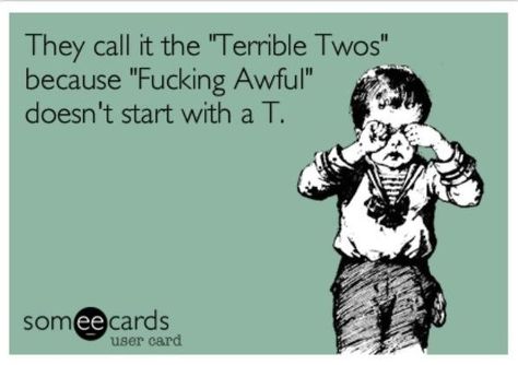 Don't mean to be crude with the language but some days I wonder if I pissed off a ghost in another life and they are just whispering in Jameson's ear nonstop egging him on to destroy everything he can as fast as he can with an uncanny ability to tune me out and ignore me. Does it get better at 3?? Terrible Twos Quotes On Parenting, Motherhood Funny, Terrible Twos, Baby Memes, Quotes About Motherhood, Eyes Open, That Moment When, Highly Sensitive, Mommy Life