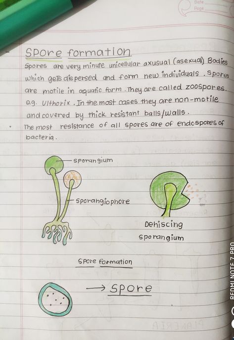 Reproduction Notes, Asexual Reproduction, Bio Notes, Best Resume Format, Exam Study Tips, Exam Study, Resume Format, Handwritten Notes, Driving Pictures