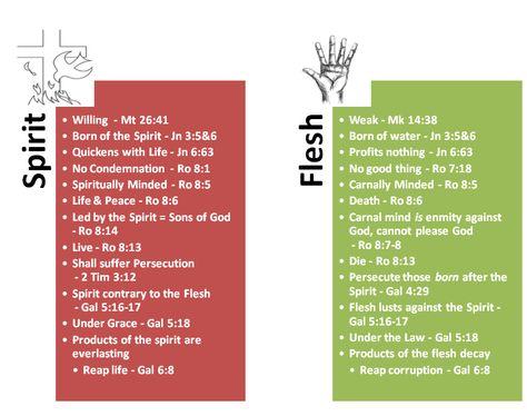 Comparisons: Spirit vs. Flesh Flesh Vs Spirit Quotes, Flesh Vs Spirit, Bible Calendar, Biblical Timeline, Seeking Wisdom, Biblical Knowledge, Salvation Scriptures, Bible Verse Vinyl, Youth Bible Study