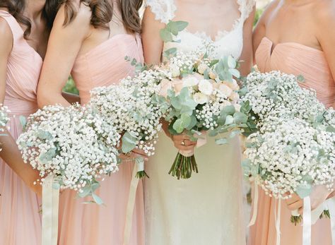 Babys Breath Wedding Ideas, Gypsophilia Bridesmaids Bouquets, Baby Breath Bridesmaid Bouquet, Babies Breath Bouquet Bridesmaids, Baby Breath Bouquet Bridesmaids, Babies Breath Bridesmaid Bouquet, Bridesmaid Baby Breath Bouquet, Bridesmaids Flower Bouquet, Bride And Bridesmaid Bouquets