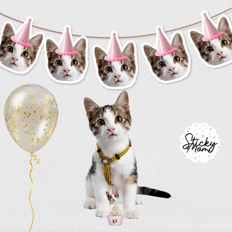 Personalised Photo Cat Birthday Garland / Pet Party / Cat Birthday Party / Cat Cupcake toppers Add a special touch to your party with this personalised photo birthday toppers and garland! INCLUDES: -printable cupcake toppers -printable garland Cat Cupcake Toppers, Printable Garland, Party Cat, Cat Cake Topper, Pet Party, Cat Cupcakes, Photo Cat, Cat Printable, Birthday Garland