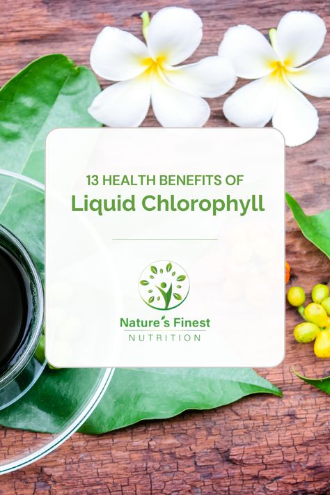 Chlorophyll has many anti-inflammatory and antioxidant effects in the body. It's important for circulatory, digestive, and immune health, with powerful cleansing effects. too. Read the full blog here: https://naturesfinestnutrition.com/blogs/posts/chlorophyll-detoxifier-cleanser Clorophil Benefits, Cholorphyll Benefits, Chlorophyll Benefits, Liquid Chlorophyll, Mouth Spray, Diy Sprays, No Code, March 2023, Photosynthesis