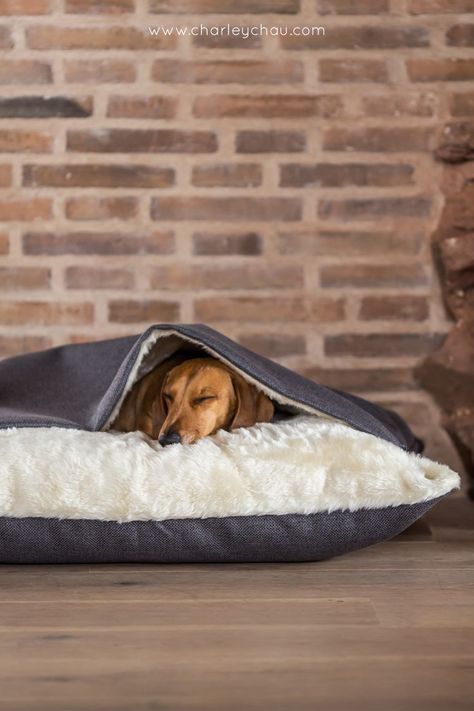 Snuggle Beds are designed for dogs that love to burrow under blankets - possibly the cosiest dog bed ever made! With a stitched in blanket top and lined with a cosy, faux-fur fleece, your dog can climb in to stay cosy and warm even when you're not there to tuck them in. Our Snuggle Beds are as practical as they are stylish - spare covers, replacement mattresses and waterproof mattress liners are available to help keep your dog's bed fresh and clean with minimum fuss. Raised Dog Beds, Wooden Dog Bed, Beds For Dogs, Mattress Dog Bed, Dog Cover, Dog Basket, Memory Foam Dog Bed, Workout Chart, Pillow Styling