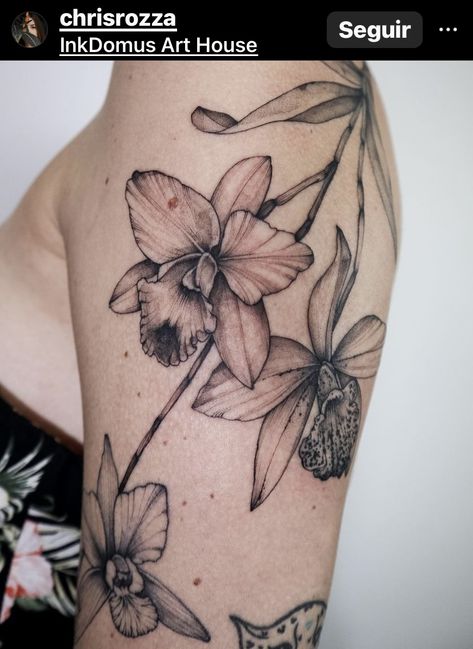 Cataleya Orchid Tattoo, Cymbidium Orchids Tattoo, Catalaya Orchid Tattoos, Cattleya Flower Tattoo, Cattleya Orchid Tattoo, Cataleya Flower Tattoo, Flower Hip Tattoos, Borboleta Tattoo, Botanical Tattoos