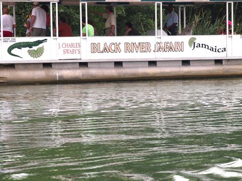 Black River Safari Cruise: Jamaica, St Elizabeth Black River Jamaica, Jungle Cruise Ride, Horseback Riding In Jamaica, Riu Palace Jamaica Montego Bay, Jamaica Excursions Montego Bay, Jamaican Vacation, Saint Elizabeth, Mangrove Swamp, Jamaica