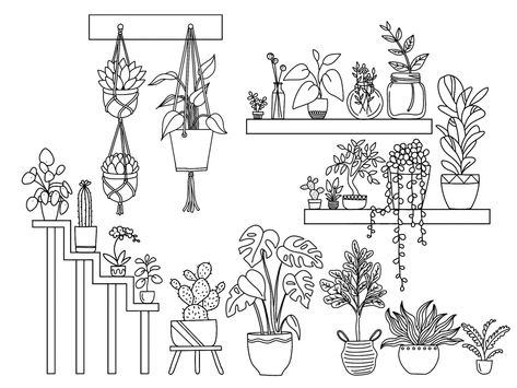 Houseplant Line Drawing, Plants On Shelf Drawing, How To Draw House Plants, Plant Shelf Drawing, Simple Flower Pot Drawing, Hanging Plant Drawing Simple, Hanging Plant Doodles, Potted Plant Doodles, Plant Outline Drawing