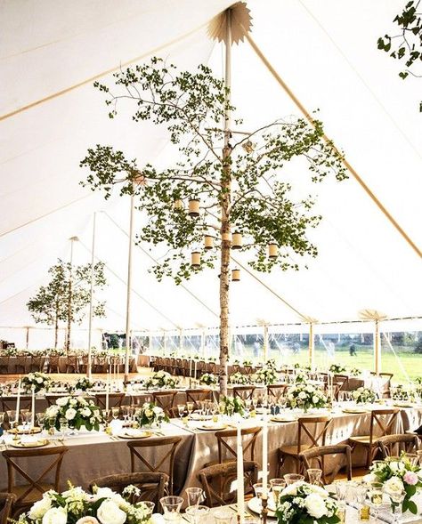 Tent Pole Decorations, Wedding Reception Decorations On A Budget, Wedding Reception Decorations Table, Reception Decorations Table, Plaas Troue, Marquee Wedding Decoration, Dreamy Wedding Reception, Herb Wedding, Champagne Roses