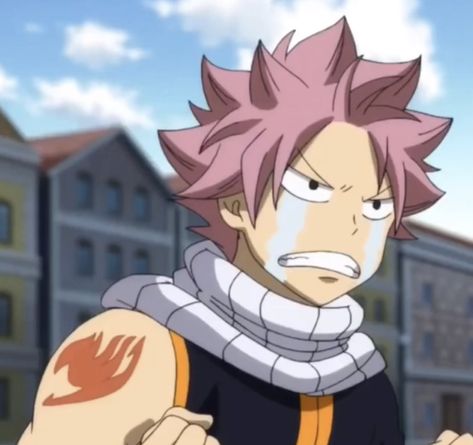 Fairy Tail Anime Natsu, Fairy Tail Meme, Fairy Tail Photos, Fairy Tail Family, Natsu Fairy Tail, Fairy Tail Images, Natsu X Lucy, Fairy Tail Pictures, Fariy Tail