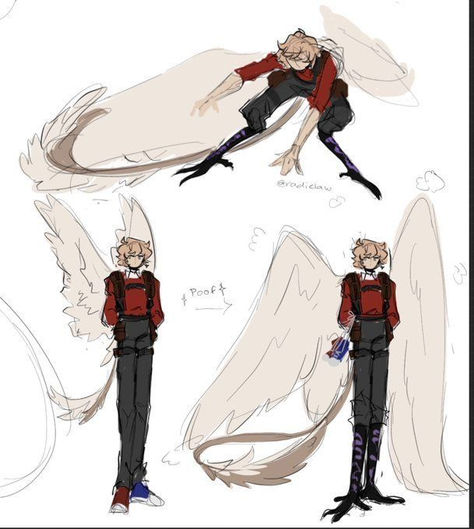 Character Wings Design, Bird Hybrid Character Design, Harpy Wings Reference, Bird Like Character Design, Bird Hybrid Human Art, Wing Oc Art, Art Reference Poses With Wings, Folded Bird Wings Reference, Character With Wings Drawing